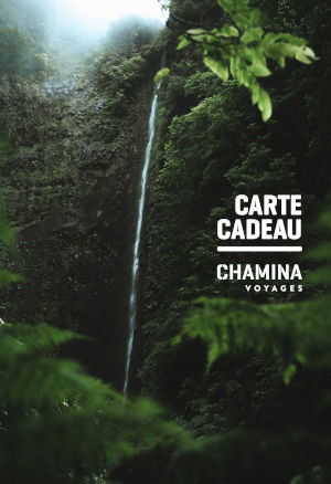 Illustration Cheque cadeau Chamina Voyages
